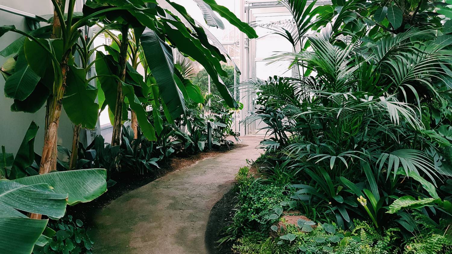 Servico Jardins